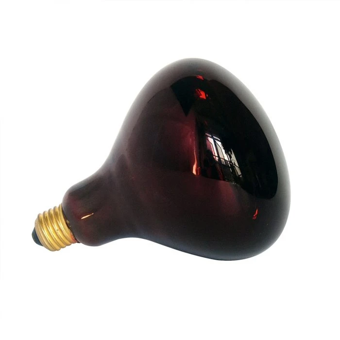 Infrared Brooder Lamp